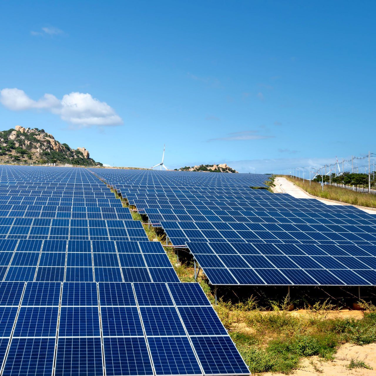 Solar Park Development