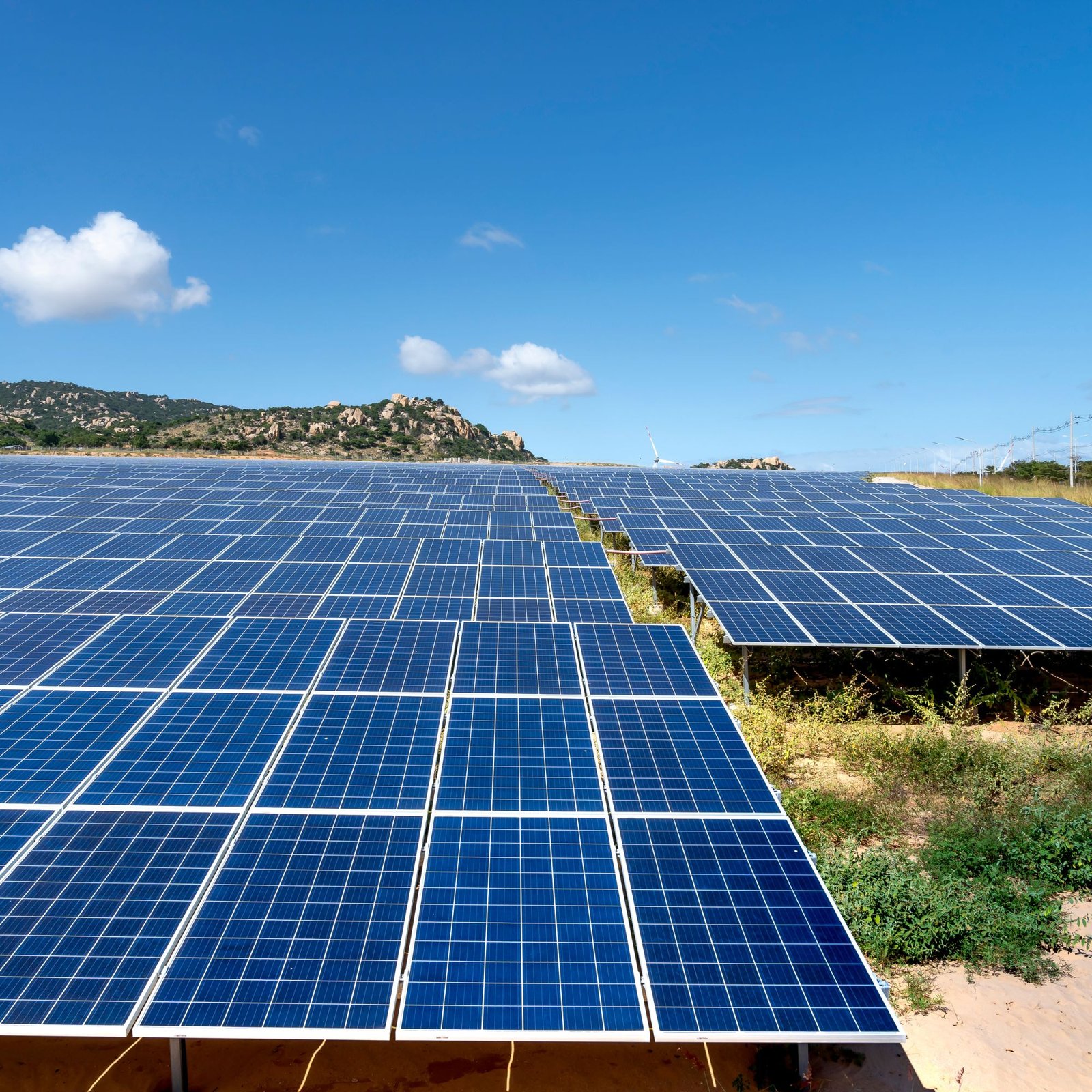 Commercial Rooftop Solar vs. Industrial Solar Park: Key Differences